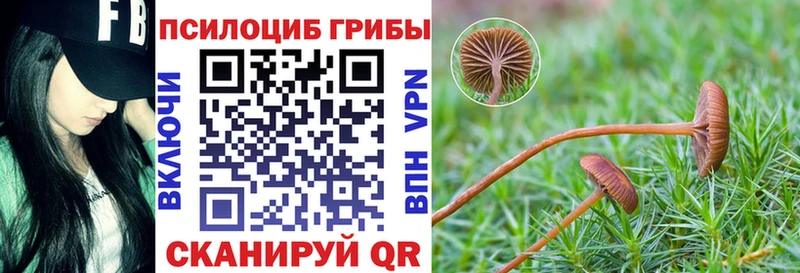 наркота  Звенигород  Галлюциногенные грибы Cubensis 